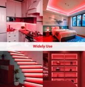 1 Meter DC 12V Red Neon Flexible Strip Light Rope Light Waterproof For Decoration In Pakistan