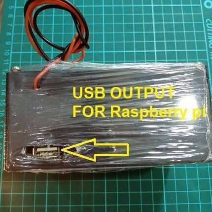 Euler | Raspberry Pi UPS 5V Battery Backup in Pakistan